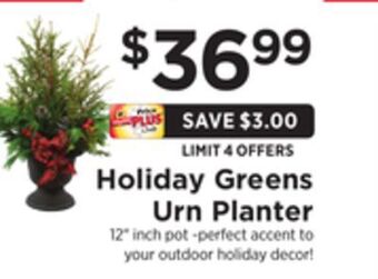 ShopRite Holiday greens urn planter offer