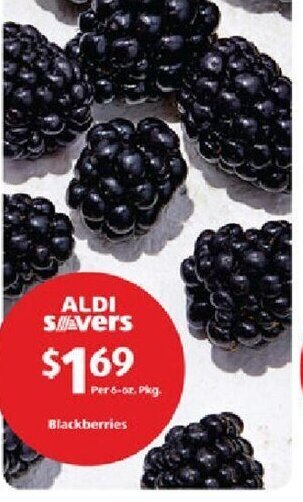 Aldi Blackberries offer