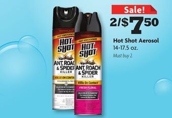Family Dollar Hot shot aerosol offer