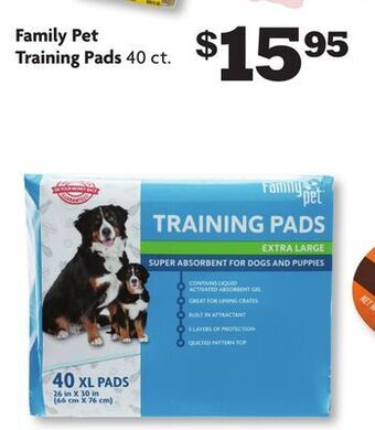 Family Dollar Family pet training pads offer