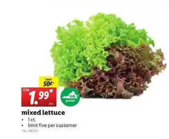 Lidl Mixed Lettuce offer