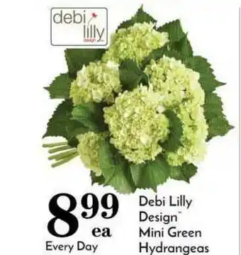 Pavilions Debi Lilly Design™ Mini Green Hydrangeas offer