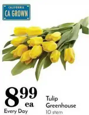 Pavilions Tulip Greenhouse 10 Stem offer