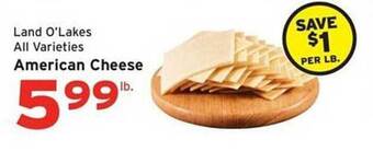 Hannaford American cheese offer