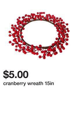 Five Below Cranberry wreath 15in offer