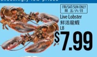 Hmart Live Lobster offer