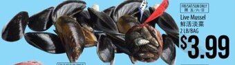 Hmart Live Mussel offer