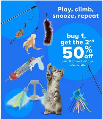 Pet Smart Jump & Interact Cat Toys offer