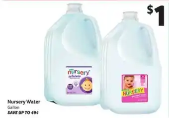 Winn Dixie Nursery Water offer