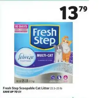 Winn Dixie Fresh Step Scoopable Cat Litter offer