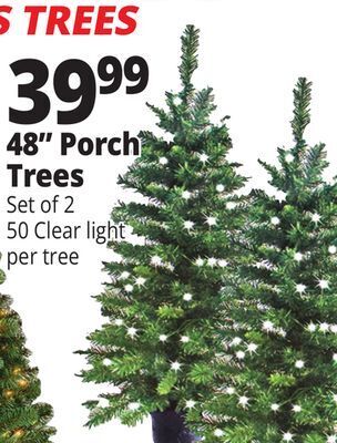Ocean State Job Lot 48" porch trees offer