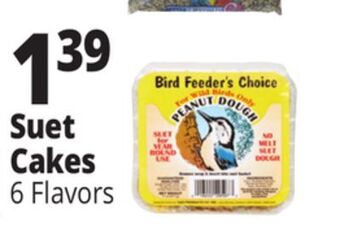 Ocean State Job Lot Suet cakes offer