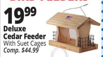 Ocean State Job Lot Deluxe cedar feeder offer