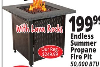 Ocean State Job Lot Endless summer propane fire pit offer
