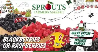 Sprouts Farmers Market Blackberries or raspberries offer