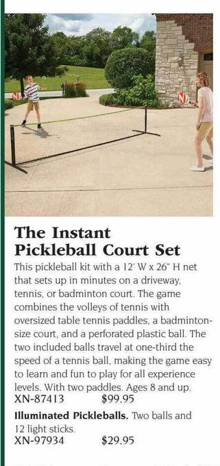 Hammacher Schlemmer The instant pickleball court set offer