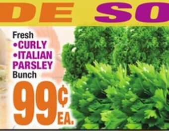 C Town • curly • italian parsley offer
