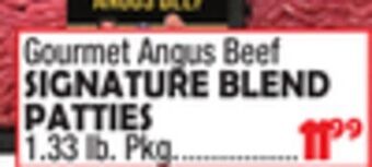 Bravo Supermarkets Gourmet angus beef signature blend patties offer