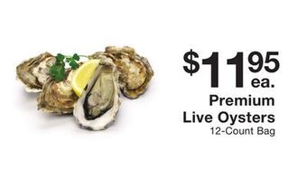Fairway Store Market Premium live oysters offer