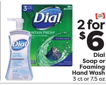 Weis Markets Dial soap or foaming hand wash offer