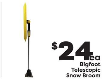 Weis Markets Bigfoot telescopic snow broom offer