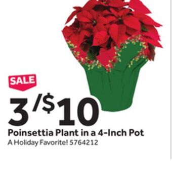 Stop&Shop Poinsettia plant in a 4-inch pot offer