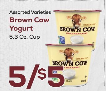 DeCicco & Sons Brown cow yogurt offer