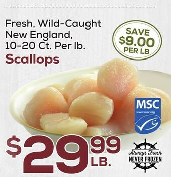 DeCicco & Sons Scallops offer