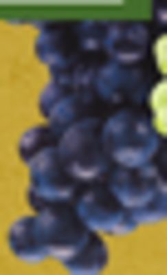 The Fresh Grocer Black seedless grapes offer