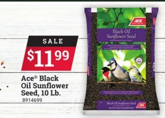 Ace Hardware Ace® black oil sunflower seed, 10 lb. offer