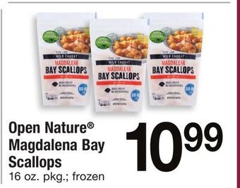 ACME Open nature® magdalena bay scallops offer