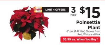 ShopRite Poinsettia plant offer