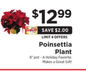 ShopRite Poinsettia plant offer