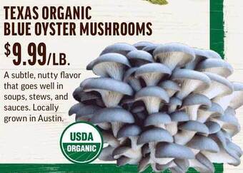 Central Market Texas organic blue oyster mushrooms offer