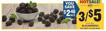 Food Lion Blackberries offer