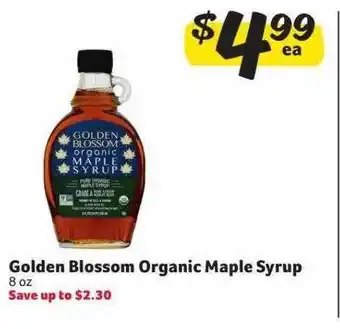 Winn Dixie Golden blossom organic maple syrup offer