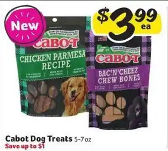 Winn Dixie Cabot dog treats offer