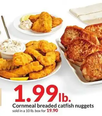 Hy-Vee Cornmeal breaded catfish nuggets offer