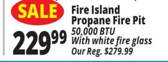 Ocean State Job Lot Fire island propane fire pit offer