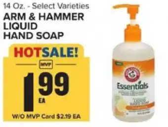 Food Lion Arm & Hammer Liquid Hand Soap 14 oz offer