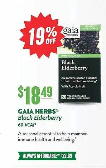 Gaia herbs black elderberry