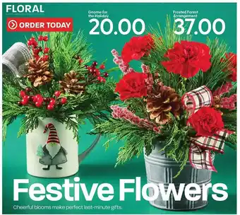 Hy-Vee Gnome for the holiday, frosted forest arrangement offer