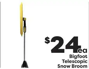 Weis Markets Bigfoot telescopic snow broom offer