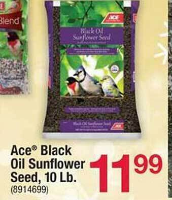 Ace Hardware Ace black oil sunflower seed offer