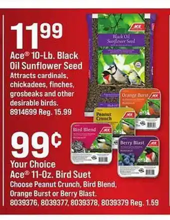 Ace Hardware Ace black oil sunflower seed or bird suet offer