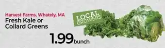 Roche Bros Fresh Kale or Collard Green offer