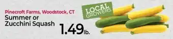 Summer or Zucchini Squash
