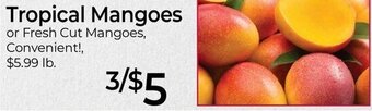 Tropical Mangoes