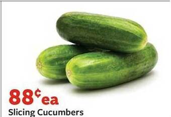 Fareway Slicing cucumbers offer