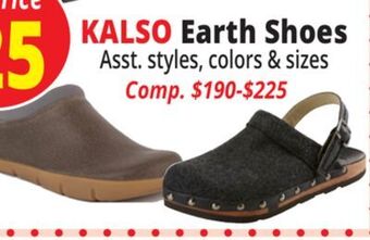 Ocean State Job Lot Kalso earth shoes offer